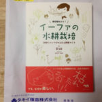 イーファの水耕栽培、、、、、