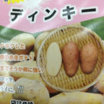 じゃがいもの種イモ、、、、、