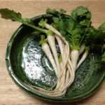 プチダイコン、、、、、