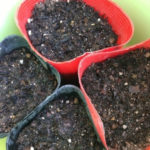 タネまき、、、、、