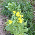 8931のむずかしさ、、、、、