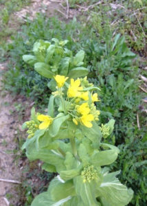 8931のむずかしさ、、、、、