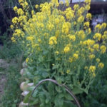 このままでイイのか、、、、、？