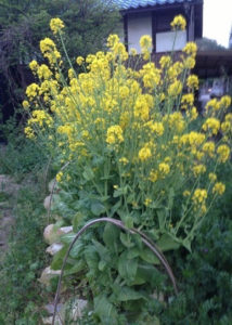 このままでイイのか、、、、、？