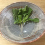 カイワレか、、、、、？