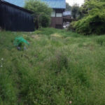 草食系、、、、、