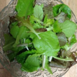 リーフレタス、、、、、