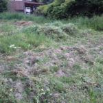 ゆっくりすればイイのに、、、、、