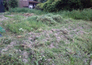 ゆっくりすればイイのに、、、、、