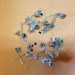 バトンタッチ、、、、、