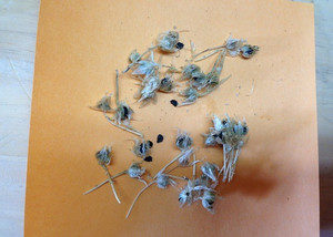 バトンタッチ、、、、、