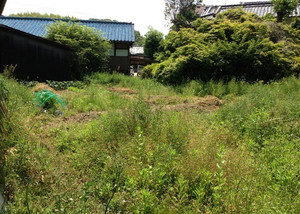 今日はやるぞぅ〜、、、、、