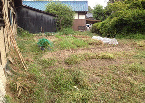 今日はここまで、、、、、