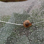 気持ちよさそう、、、、、