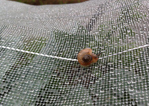 気持ちよさそう、、、、、