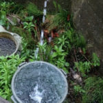 大切な水、、、、、