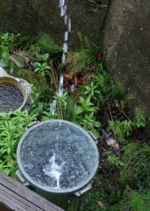 大切な水、、、、、