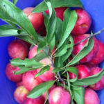 いただきました〜、、、、、