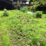 暑中草刈り、、、、、