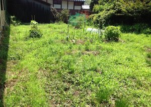 暑中草刈り、、、、、