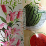 サボリぎみ、、、、、