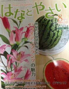 サボリぎみ、、、、、