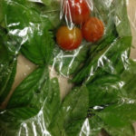 初プチトマト、、、、、