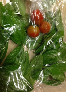 初プチトマト、、、、、