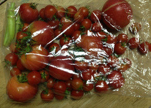 たくさんのトマト、、、、、