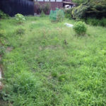 草刈り、、、、、