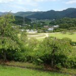 信楽陶芸の森、、、、、