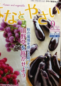 毎月の教材、、、、、