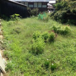 今日は久しぶりに、、、、、