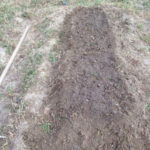 でーこん、、、、、