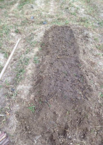 でーこん、、、、、