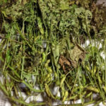 ここまでできれば、、、、、