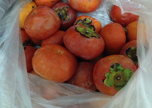 見た目トマト、、、、、