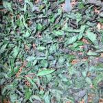 乾燥バジルは、、、、、？