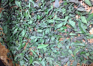 乾燥バジルは、、、、、？