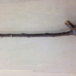 大切な道具、、、、、