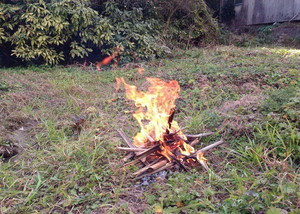 次回は焼き芋を、、、、、