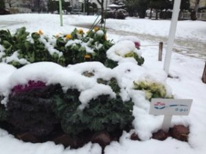 二週続けて、、、、、