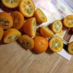 今年は、、、、、、