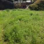 いつのまにか、、、、、、