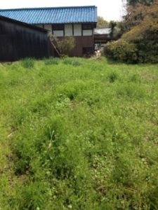 いつのまにか、、、、、、