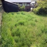 旬の、、、、、、