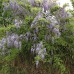 このあたりは、、、、、、