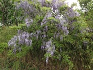 このあたりは、、、、、、