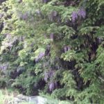 ここも、、、、、、