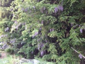 ここも、、、、、、